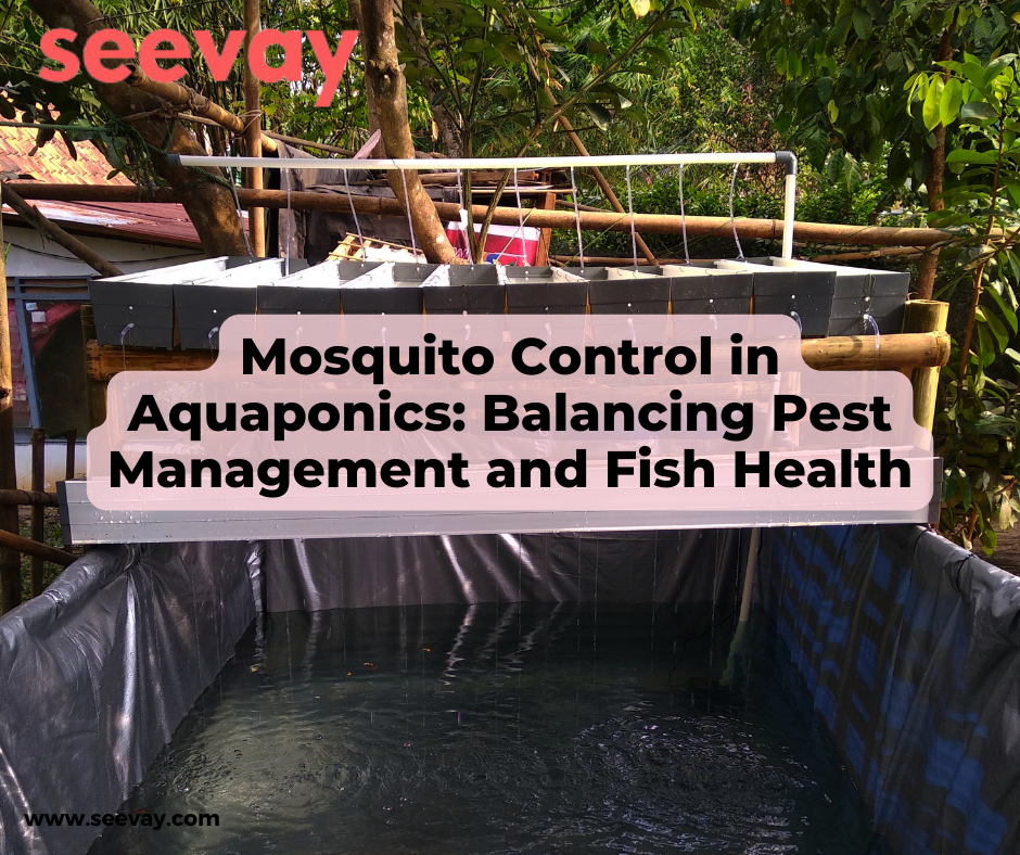 Mosquito Control in Aquaponics Balancing Pest Management and Fish Health