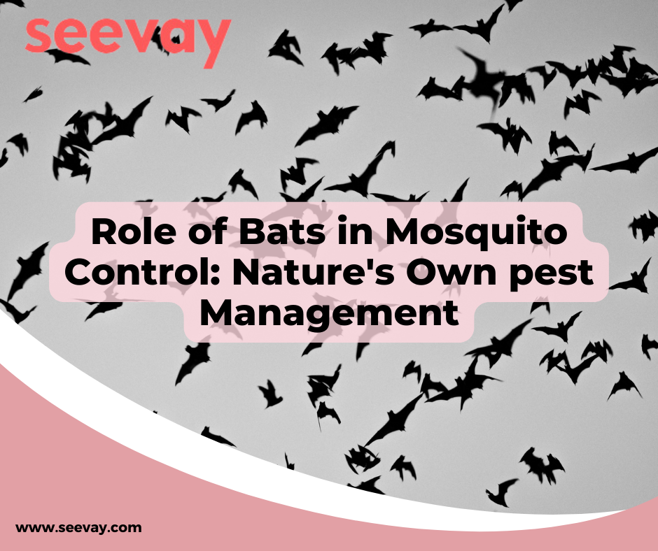 Role of Bats in Mosquito Control Natures Own pest Management