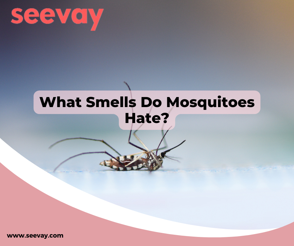 What Smells Do Mosquitoes Hate
